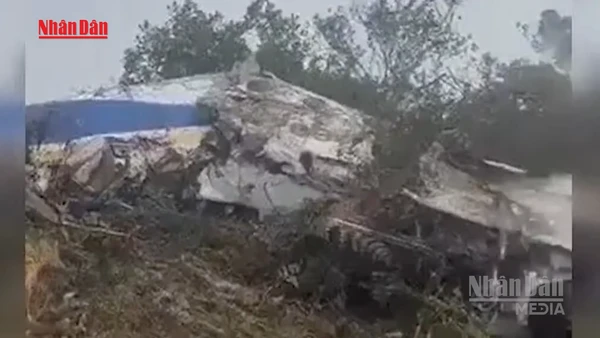 [Video] Rơi máy bay chở nghị sĩ ở Colombia, 15 người chết