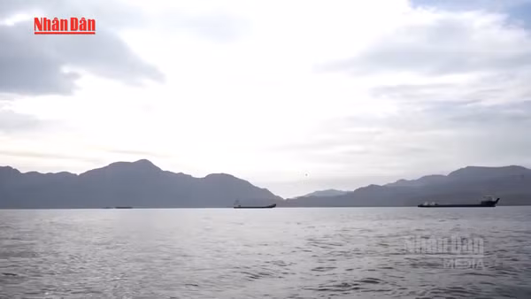 [Video] Iran bắt giữ 2 tàu tại Eo biển Hormuz, giá dầu vượt 100 USD/thùng 