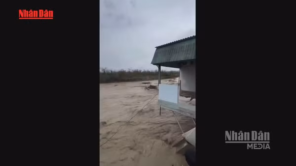 [Video] Lũ quét tại Dagestan, Nga khiến ít nhất 5 người thiệt mạng 