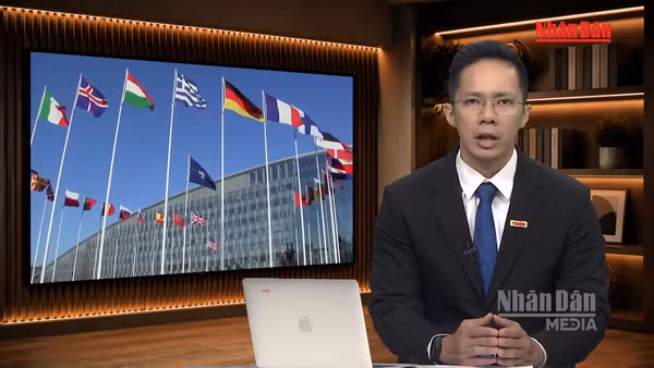[Video] Tiêu điểm 08/08: Khi tổng thống Mỹ D. Trump muốn Châu Âu chia sẻ chi phí an ninh