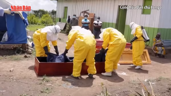 [Video] WHO hỗ trợ CHDC Congo mở rộng quy mô xét nghiệm virus Ebola 