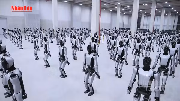 [Video] Trung Quốc sẽ cấp mã định danh cho mỗi robot hình người 