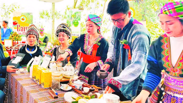 Chị Lâm Thị Kim Thoa (người thứ hai từ trái sang) trong lễ hội chè Shan tuyết Suối Giàng.