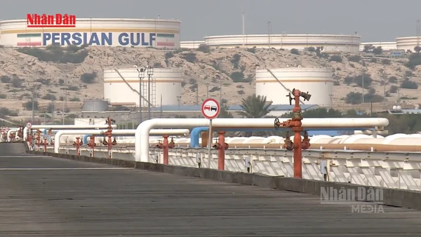 [Video] Giá dầu, vàng biến động mạnh vì thông điệp bất nhất từ Mỹ - Iran 