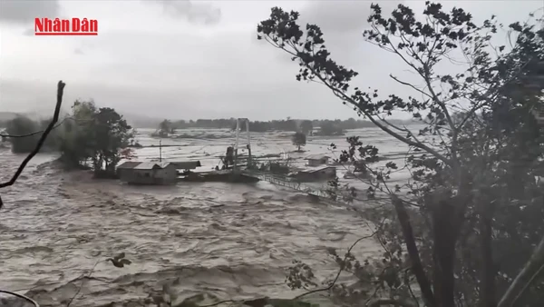 [Video] Philippines ban bố tình trạng thảm họa sau bão Kalmaegi, ít nhất 140 người thiệt mạng