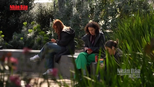 [Video] Mạng xã hội làm suy giảm mức độ hài lòng của giới trẻ 