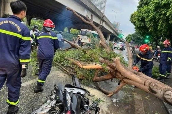 Lực lượng chức năng tham gia cứu hộ trường hợp cây đổ đè lên phương tiện của người dân. (Ảnh: Công an thành phố Hà Nội)