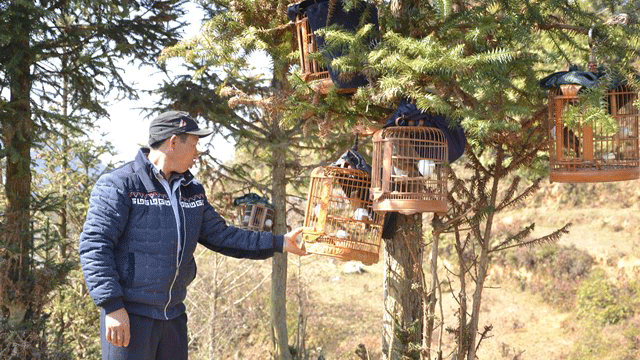 Lên Pha Long vui hội Gầu Tào đầu xuân ảnh 4