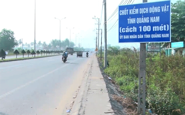 Dịch tả lợn châu Phi diễn biến phức tạp ở các địa phương ảnh 1