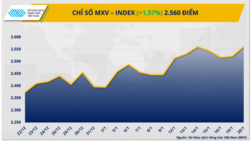 Chỉ số MXV-Index