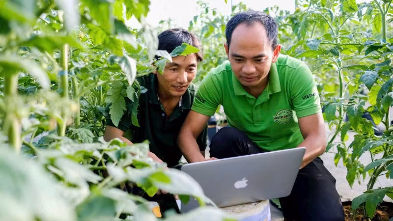 Anh Nguyễn Đức Huy hướng dẫn nhân công về hệ thống điều khiển trang trại VietPorics.