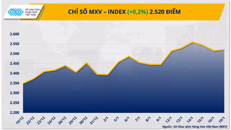 chi-so-mxv-index-1-7858.png
