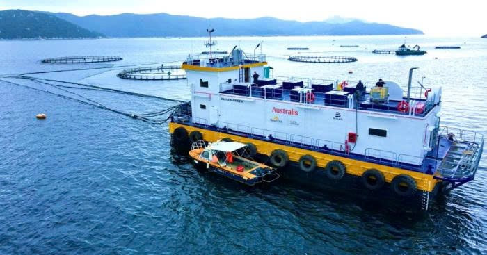 Khu vực nuôi cá chẽm công nghệ cao ở vùng nước sâu vịnh Vân Phong, tỉnh Khánh Hòa. (Ảnh TIẾN MINH)