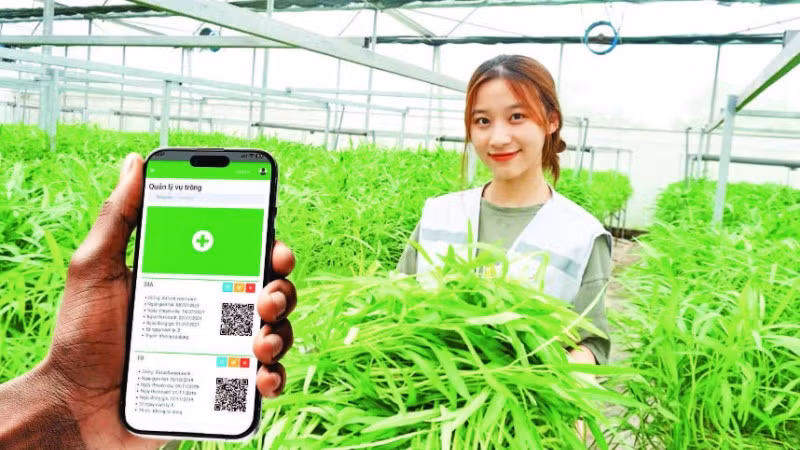 Giải pháp công nghệ của Công ty cổ phần Công nghệ cao Hachi Việt Nam giúp nông dân giảm chi phí, bảo vệ tài nguyên và giảm phát thải khí nhà kính. (Ảnh: BÍCH LIÊN)