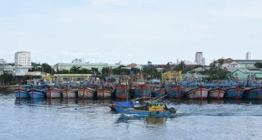 Tàu cá neo đậu tại Âu thuyền cảng cá Thọ Quang, Đà Nẵng.