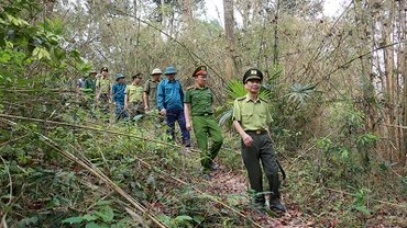 Hạt kiểm lâm huyện Sơn Dương phối hợp các đơn vị và người dân tuần tra rừng đặc dụng Tân Trào.