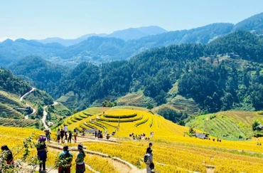 Điểm đến đồi mâm xôi thuộc danh thắng ruộng bậc thang Mù Cang Chải (Yên Bái) luôn hấp dẫn du khách mùa lúa chín. (Ảnh: Sơn Giang)