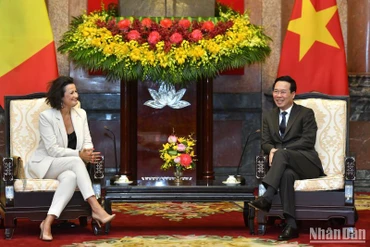 Chủ tịch nước Võ Văn Thưởng tiếp Chủ tịch Thượng viện Vương quốc Bỉ Stephanie D’Hose.