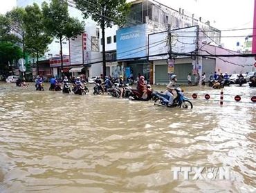 Ngày 13/10, triều cường ở thành phố Cần Thơ tiếp tục dâng cao vượt báo động 3. (Ảnh: Thanh Liêm/TTXVN)