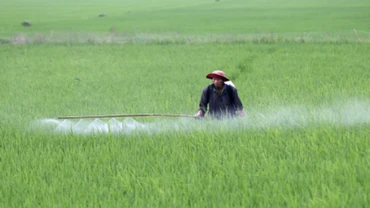 Phun thuốc bảo vệ thực vật phòng, trừ sâu bệnh cho lúa. (Ảnh: TTXVN)