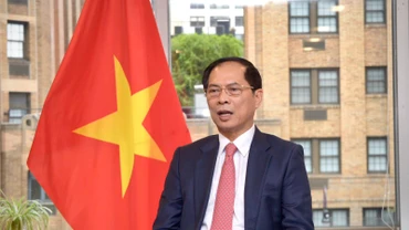 Phó Thủ tướng, Bộ trưởng Ngoại giao Bùi Thanh Sơn trả lời phỏng vấn trước chuyến công tác của Tổng Bí thư, Chủ tịch nước Tô Lâm