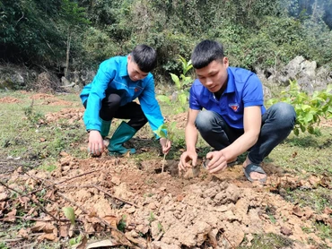 Đoàn viên, thanh niên tham gia trồng cây tại Lễ phát động.
