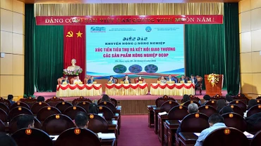 Hơn 200 đại biểu tham dự diễn đàn. (Ảnh: TUẤN SƠN)
