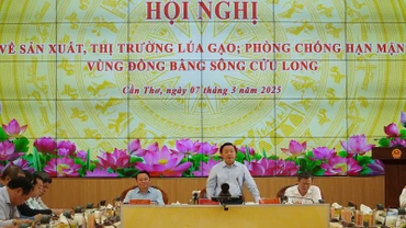 Phó Thủ tướng Trần Hồng Hà phát biểu tại hội nghị. 