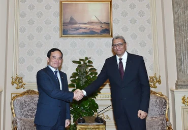 Phó Thủ tướng Trần Lưu Quang gặp Phó Chủ tịch thứ nhất Hạ viện Ai Cập. 