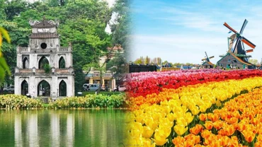 [Infographic] Quan hệ Đối tác toàn diện Việt Nam-Hà Lan