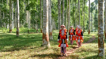 Du lịch sinh thái rừng thu hút nhiều khách du lịch đến Tuyên Quang.