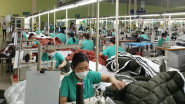 Sản xuất hàng dệt may xuất khẩu tại Tổng công ty cổ phần Dệt may Nam Định.