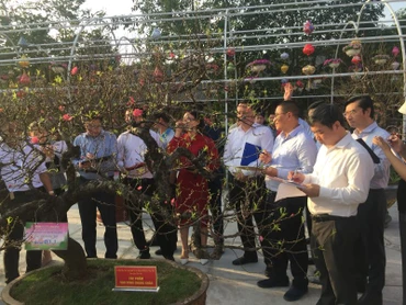 Ban Giám khảo đang nhận xét, chấm điểm cho các tác phẩm lọt vào vòng chung khảo.