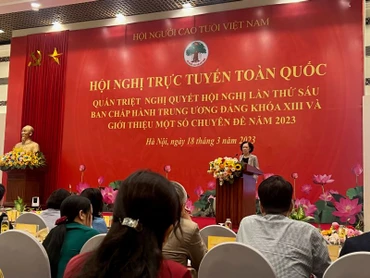 Toàn cảnh hội nghị trực tuyến toàn quốc của Hội Người cao tuổi Việt Nam.