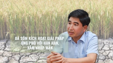Đã sớm kích hoạt giải pháp ứng phó với hạn hán, xâm nhập mặn