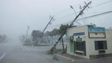 Cơn bão quật đổ nhiều cột điện tại Florida. (Ảnh: Reuters) 