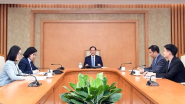 Phó Thủ tướng Chính phủ, Bộ trưởng Ngoại giao Bùi Thanh Sơn điện đàm với Bộ trưởng Ngoại giao Thổ Nhĩ Kỳ Hakan Fidan. (Ảnh: Bộ Ngoại giao Việt Nam)