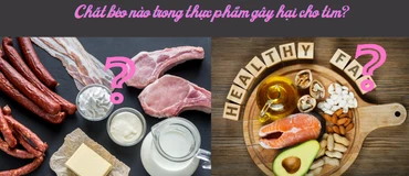 Chất béo nào trong thực phẩm gây hại cho tim?