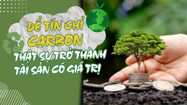 Để tín chỉ carbon thật sự trở thành tài sản có giá trị