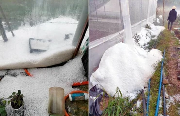 Mưa đá "dội" xuống khu vực nhà kính canh tác nông nghiệp ở xã Đạ Sar và Đạ Nhim.