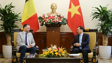 Việt Nam luôn coi trọng quan hệ hữu nghị và hợp tác nhiều mặt với Bỉ
