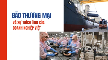 Bão thương mại và sự thích ứng của doanh nghiệp Việt Nam