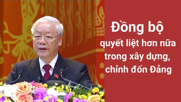 Đồng bộ, quyết liệt hơn nữa trong xây dựng, chỉnh đốn Đảng