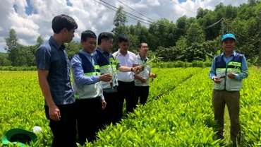 [Video] Phê duyệt Đồ án Quy hoạch chung xây dựng Khu lâm nghiệp ứng dụng công nghệ cao vùng Bắc Trung Bộ