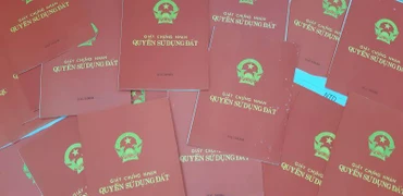 Nhiều cán bộ, công chức, viên chức ở Quảng Ngãi bị kỷ luật do vi phạm trong công tác quản lý Nhà nước về đất đai. 
