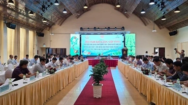 Quang cảnh hội nghị.