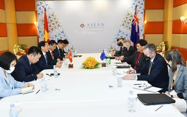 Việt Nam và New Zealand thúc đẩy hợp tác tại các diễn đàn đa phương. (Ảnh: BỘ NGOẠI GIAO)
