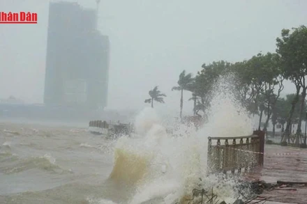 [Video] Đà Nẵng lập 3 sở chỉ huy tiền phương, chủ động ứng phó bão số 12