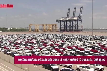 [Video] Bộ Công Thương đề xuất siết quản lý nhập khẩu ô tô quà biếu, quà tặng
