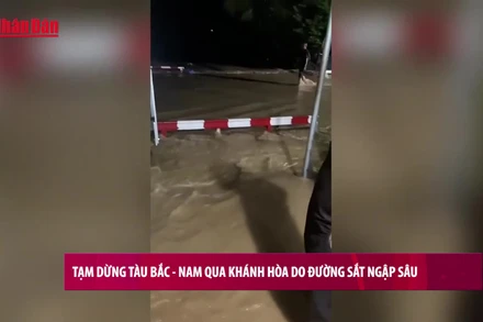 [Video] Tạm dừng tàu Bắc – Nam qua Khánh Hòa do đường sắt ngập sâu